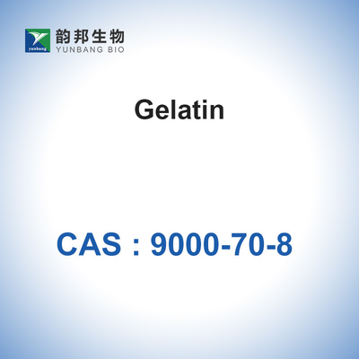 Espesante absorbible CAS 9000-70-8 de la esponja de la gelatina del polvo de la gelatina de Teleostean