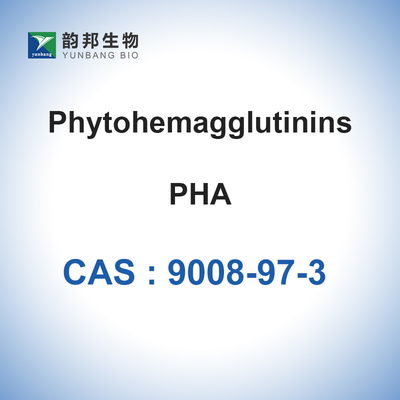 Polvo liofilizado 9008-97-3 vulgaris de CAS del Phaseolus de PHA Phytohemagglutinin-M