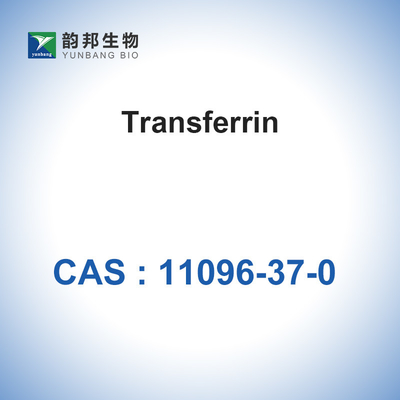 CAS 11096-37-0 enzimas biológicas de los catalizadores/transferrina humana de Holo