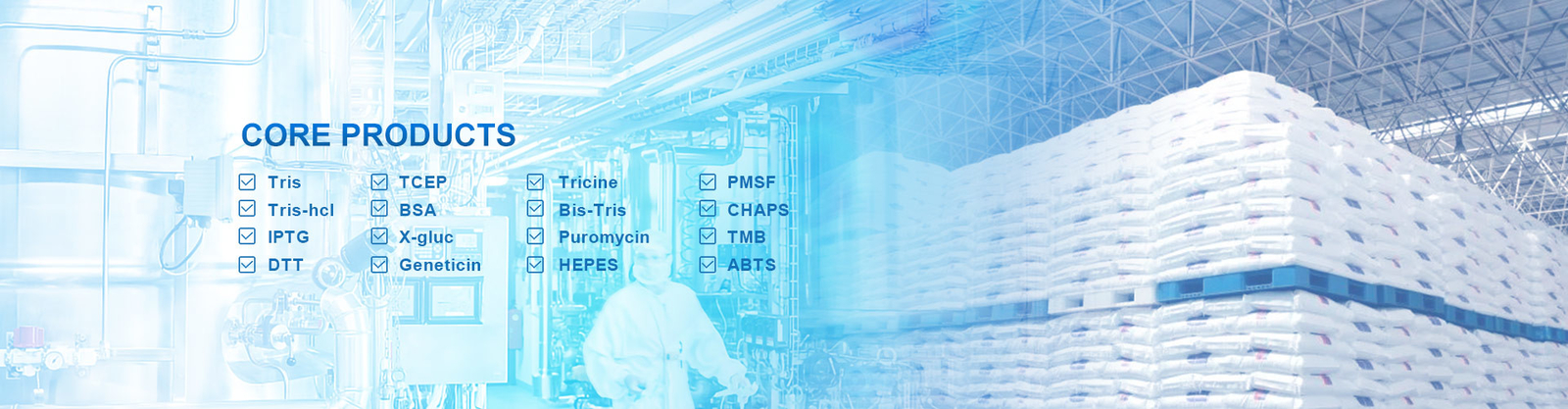 Enzimas biológicas de los catalizadores