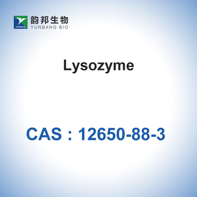 Lisozima biológica de las enzimas de los catalizadores de CAS 12650-88-3 de la clara de huevo del pollo