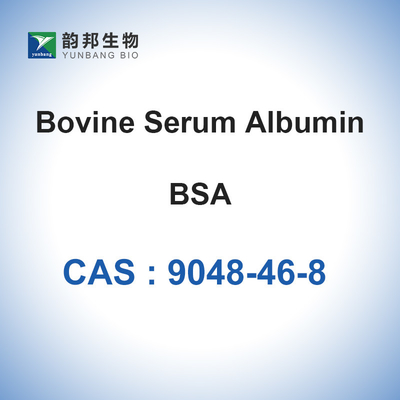 Polvo liofilizado solución de CAS 9048-46-8 BSA de la albúmina del suero vacuno