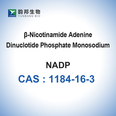 Enzimas biológicas CAS 1184-16-3 de los catalizadores de la sal monosódica del NADP