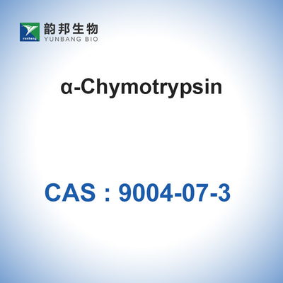 9004-07-3 α-quimotripsina biológica de la quimotripsina de las enzimas de los catalizadores (&gt;1200u/Mg)