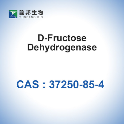 Enzimas biológicas de los catalizadores de la D-fructosa deshidrogenasa 20u/mg de CAS 37250-85-4