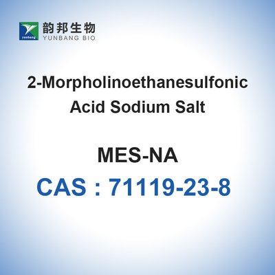 Los almacenadores intermediarios biológicos de la sal del sodio de MES pulverizan Bioreagent CAS 71119-23-8