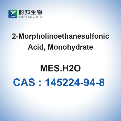 Reactivo biológico de la biología molecular del almacenador intermediario el 98% del monohidrato de CAS 145224-94-8 MES