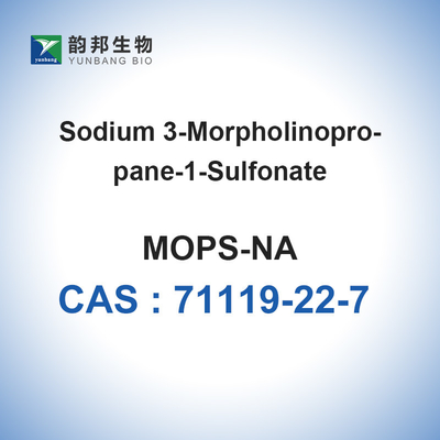 Fregonas Tampón Sal de sodio CAS 71119-22-7 Bioreactivo 98%