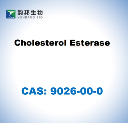 CAS 9026-00-0 Esterasa de colesterol de Pseudomonas fluorescens