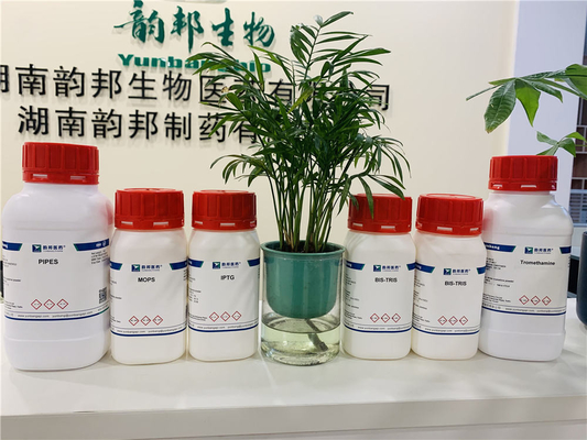 28822-58-4 IBMX Productos químicos finos de 3-isobutilo-1-metilxantina