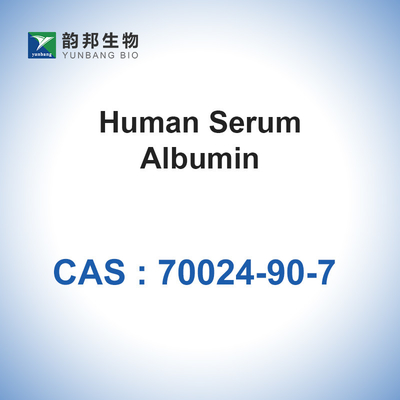 Albúmina de CAS 70024-90-7 del suero humano