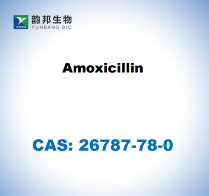 CAS 26787-78-0 Amoxicilina