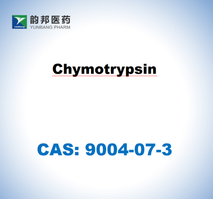 α-Quimotrypsina 9004-07-3 del páncreas bovino USP Grado ((1500 u/Mg)