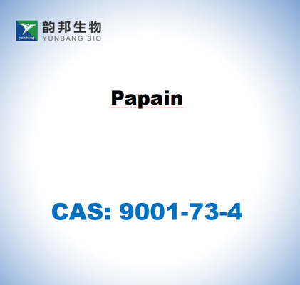 CAS 9001-73-4 Papaína del látex de papaya