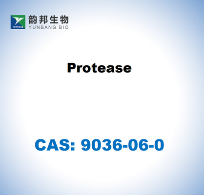 CAS 9036-06-0 Proteasa procedente de Streptomyces griseus