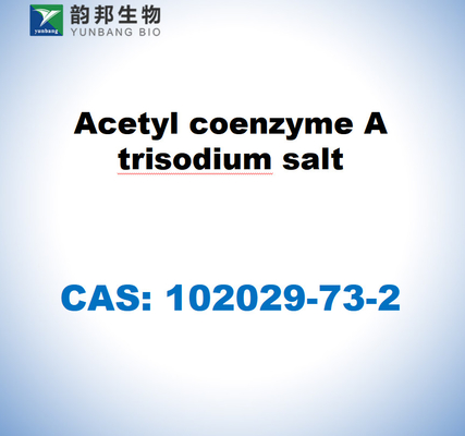 CAS 102029-73-2 Acetilcoenzima A, sal de trisodio