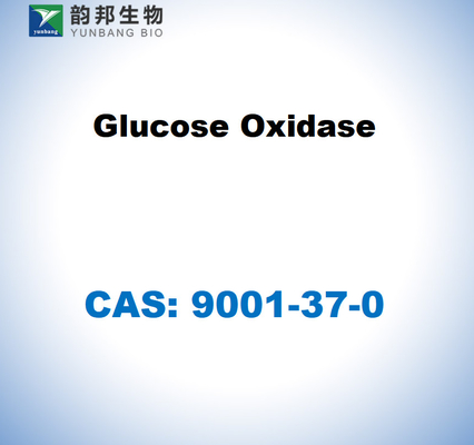 CAS 9001-37-0 Oxidaza de la glucosa de Aspergillus niger