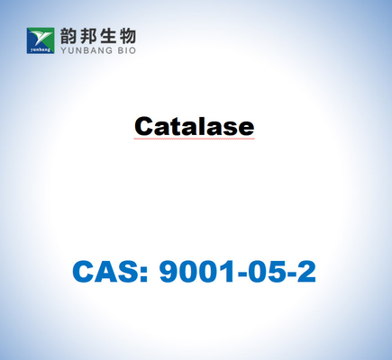 CAS 9001-05-2 Catalasa del hígado bovino