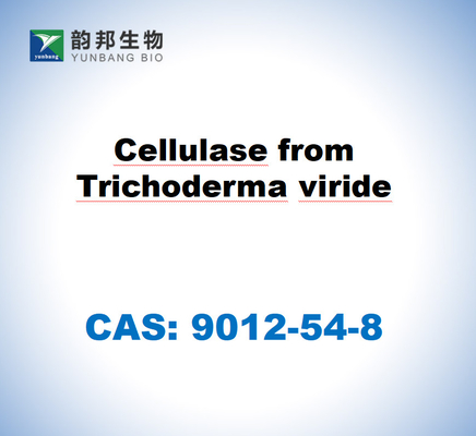 CAS 9012-54-8 Celulosa de la trichoderma virida