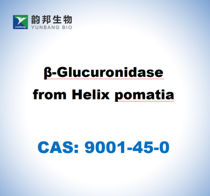 CAS 9001-45-0 B-glucuronidasa de la hélice Pomatia
