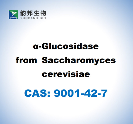 CAS 9001-42-7 A-glucosidasa de las Saccharomyces cerevisiae