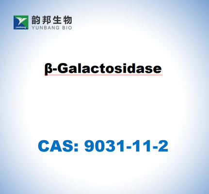 CAS 9031-11-2 β-galactosidasa de Aspergillus niger