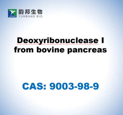 CAS 9003-98-9 Desoxirribonucleasa I del páncreas bovino