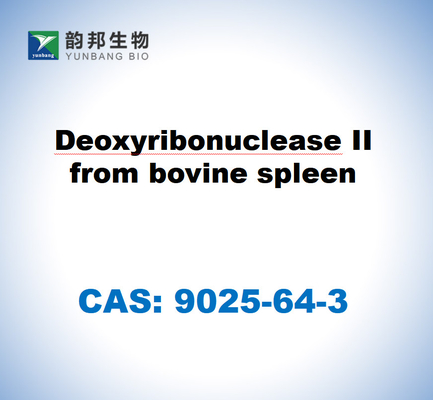 CAS 9025-64-3 Desoxirribonucleasa II del bazo bovino