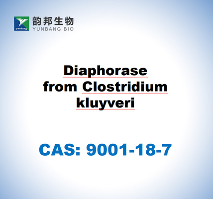CAS 9001-18-7 Diaforasa del Clostridium kluyveri