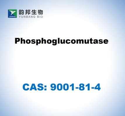 CAS 9001-81-4 Fosfoglucomutasa CE 5.4.2.2