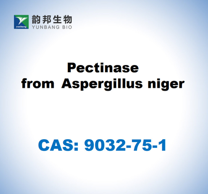 CAS 9032-75-1 Pectinasa de Aspergillus niger