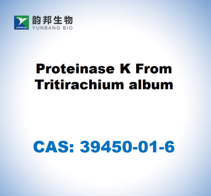 CAS 39450-01-6 Proteinasa K del álbum de Tritiraquio
