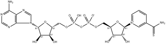 CAS 4090-29-3 Tionicotinamida dinucleótido de adenina