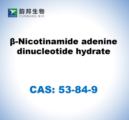 CAS 53-84-9 B-nicotinamida adenina dinucleótido hidrato