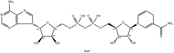 CAS 606-68-8 NADH, disodio, β-nicotinamida adenina dinucleótido, hidrato de sal disódica reducida