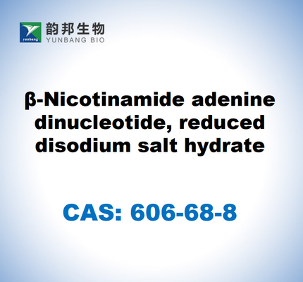 CAS 606-68-8 NADH, disodio, β-nicotinamida adenina dinucleótido, hidrato de sal disódica reducida