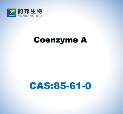 CAS 85-61-0 Coenzima A grado de cultivo celular del 85%