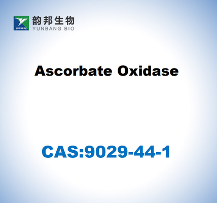 CAS 9029-44-1 Oxidasa del ascorbato