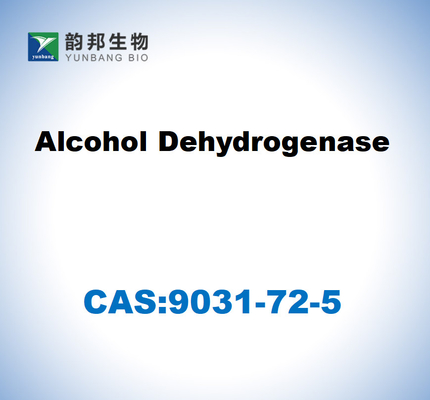 CAS 9031-72-5 Deshidrogenasa alcohólica