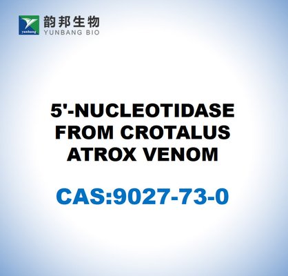 CAS 9027-73-0 5'-nucleotidasas del veneno de la crotal atroxa