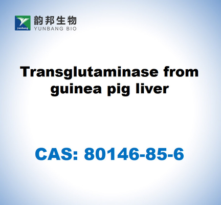 CAS 80146-85-6 Transglutaminasa del hígado de conejillo de indias