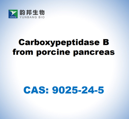 CAS 9025-24-5 Carboxipeptidasa B del páncreas porcino