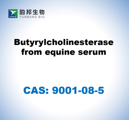 CAS 9001-08-5 Butirilcolinesterasa del suero equino