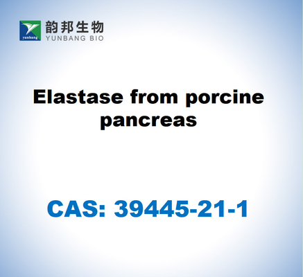 CAS 39445-21-1 Elastasa del páncreas porcino