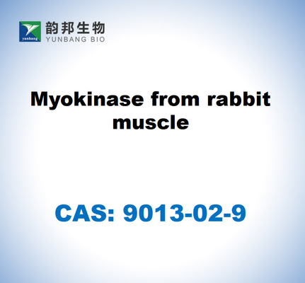 CAS 9013-02-9 Miokinasa del músculo del conejo