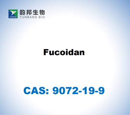 CAS 9072-19-9 Fucoidán