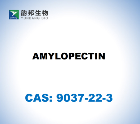 CAS 9037-22-3 Amilopectina