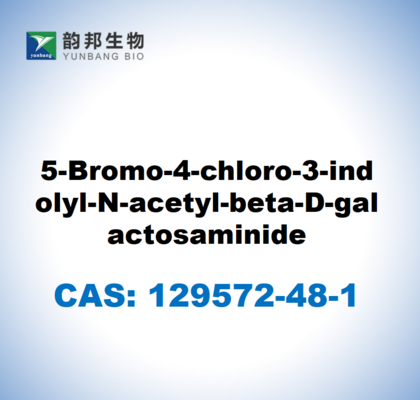 CAS 129572-48-1 5-Bromo-4-cloro-3-indolil-N-acetil-beta-D-galactosaminida