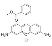CAS62669-70-9 proveedores de colorantes biológicos Rodamina 123